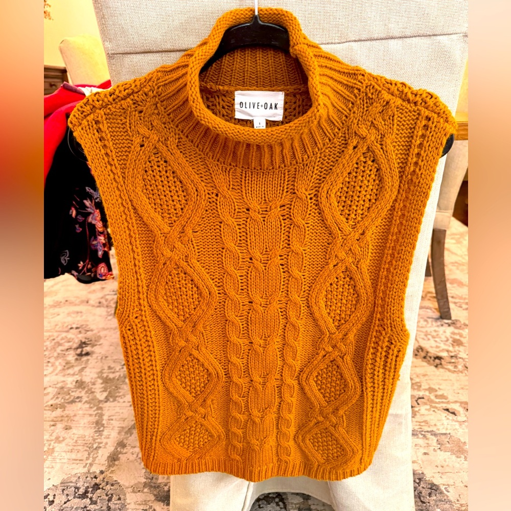 Cute sweater vest by Olive and Oak, small
